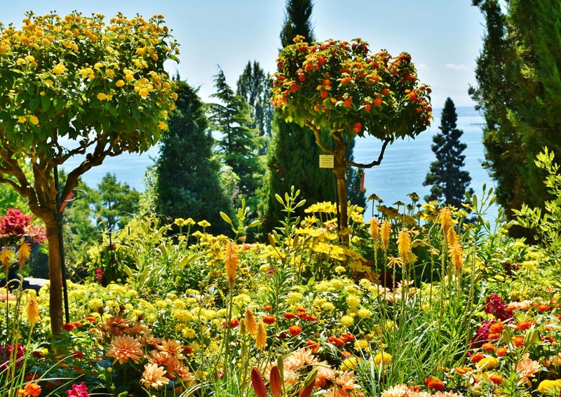 Insel Mainau wunderschöne mediterane Blumeninsel am Bodensee